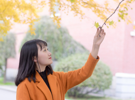 200多项文化活动春节上线